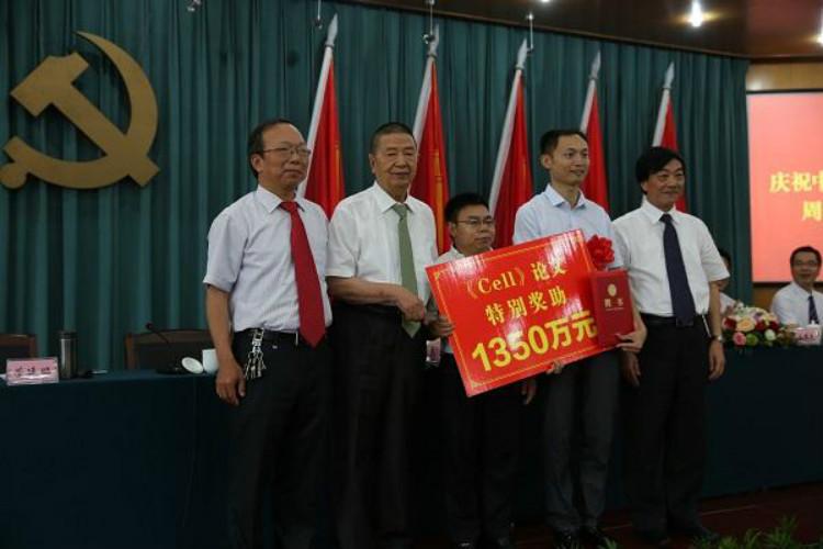 云南玉镯事件最新进展更新