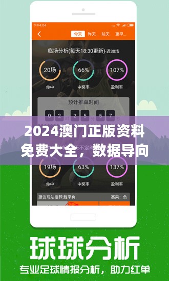澳门精准王中王免费公开,统计材料解释设想_VYP9.554智能版