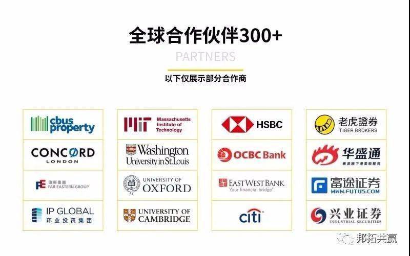 2024新澳天天资料免费大全,專家解析意見_EEF83.898明星版