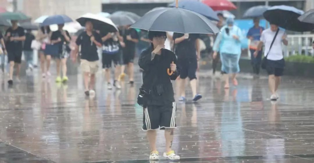 2024新澳免费资料图片,动态解读分析_HPJ83.800变革版