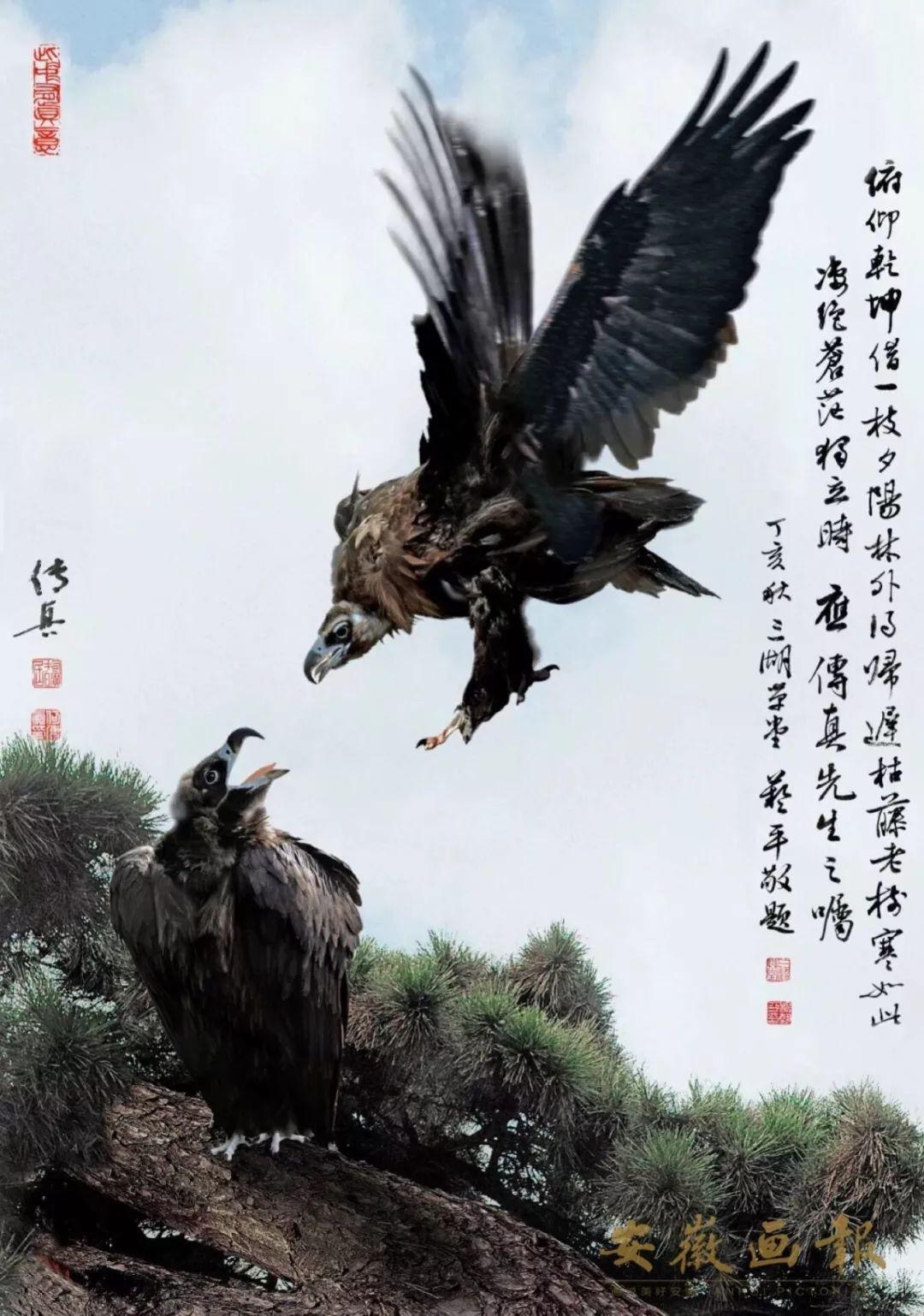 新澳门传真图片,快速解答方案设计_快捷版33.652