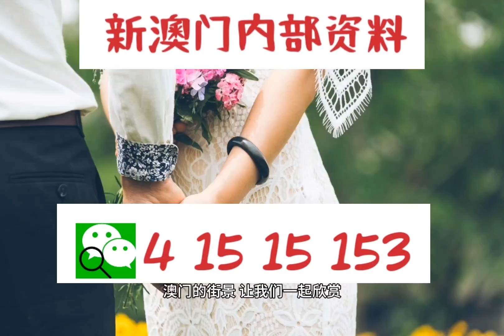 新澳门免费资料精选的优点,快速实施解答研究_见证版59.604