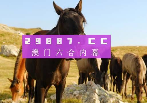 澳门管家婆一肖一码2023年,实地研究解答协助_可靠性版76.105
