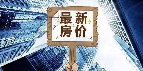 2024新澳门正版免费资料,专业解读操行解决_魂银版77.604