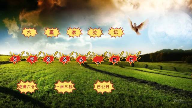2024澳门天天六开彩记录,实证分析详细枕_精致版33.779