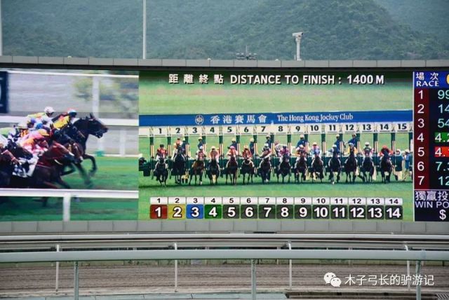 2024香港赛马全年免费资料,高效计划实施_性能版57.175