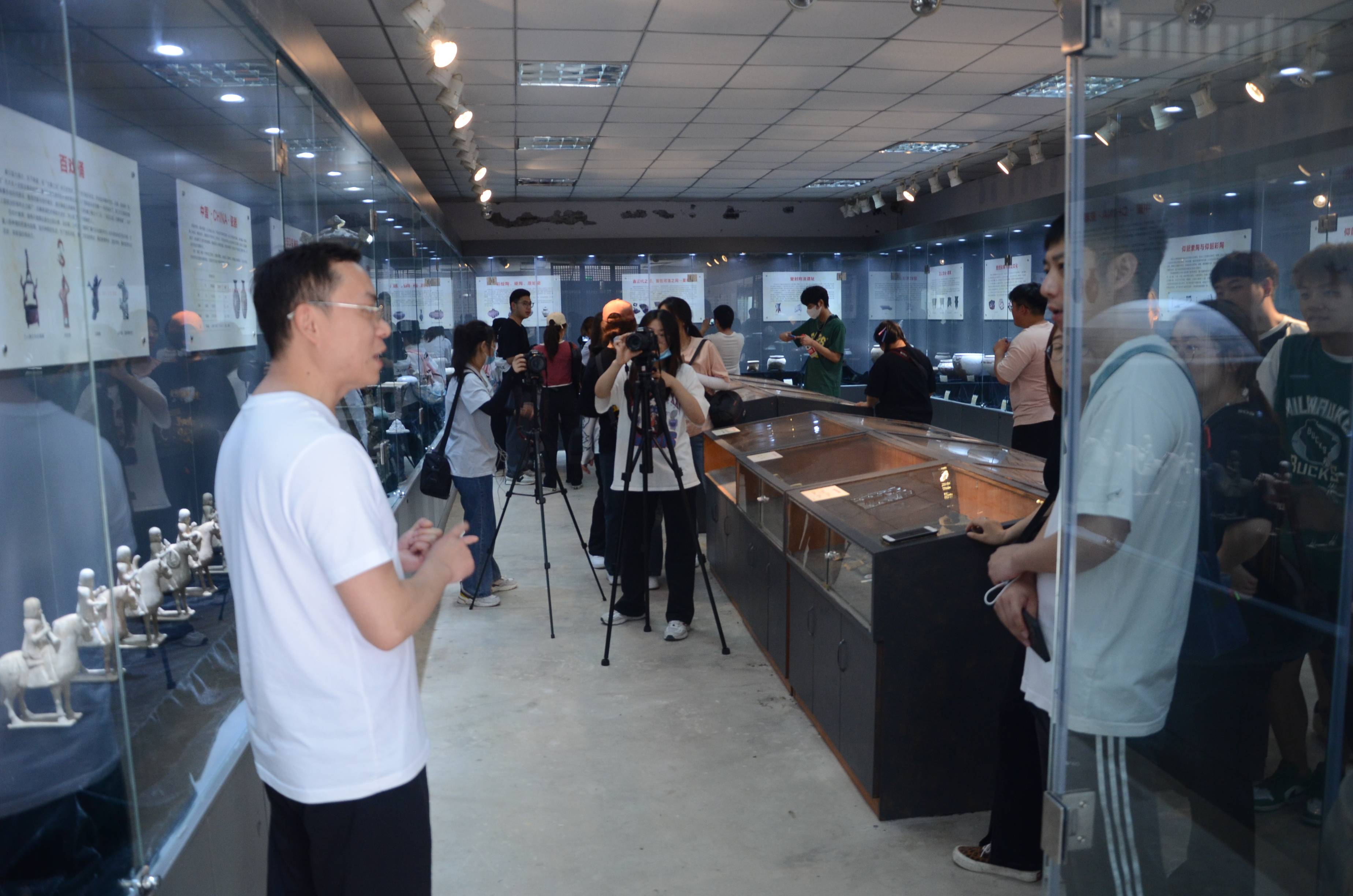 新澳门黄大仙三期必出,专业解读方案实施_迷你版65.365