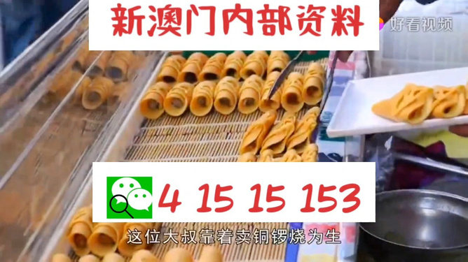 2024新澳门天天开好彩,社会责任实施_动态版88.569