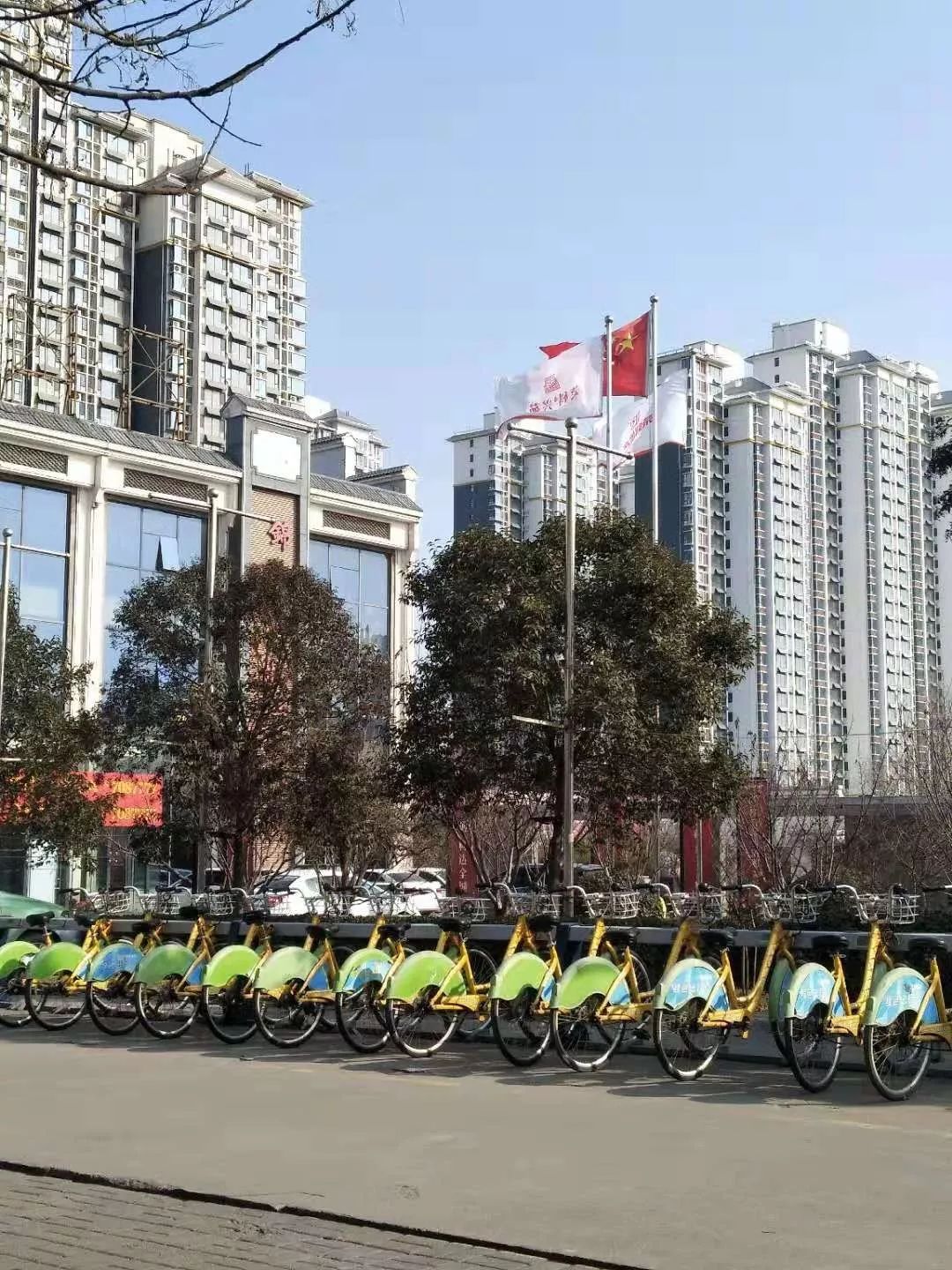 邯郸最新三例深度探讨与科普解读
