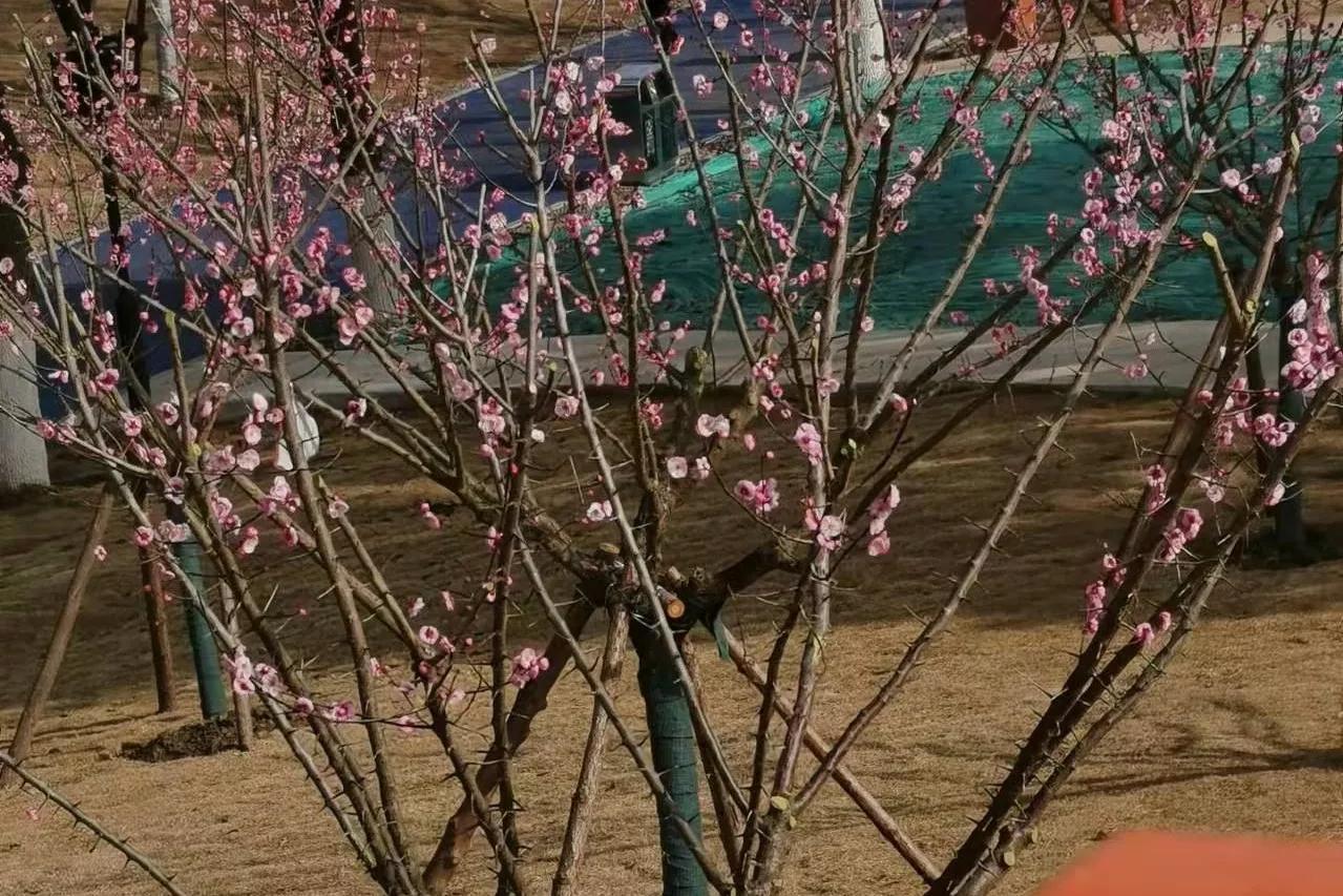 装潢材料 第151页