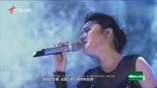 视频最新歌曲大放送，珍藏每一首热门金曲