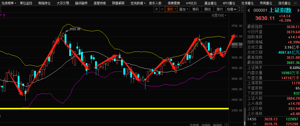 揭秘特色小店背后的股票行情，探寻600423股票行情的独特环境与潜力！