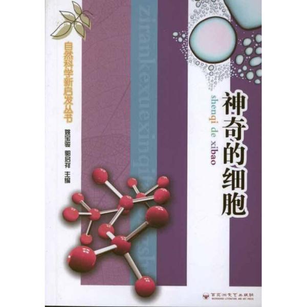 神的新启示，揭秘未知的神圣启示