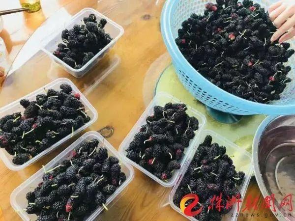 株洲市最新版地图，温情故事背后的城市指南