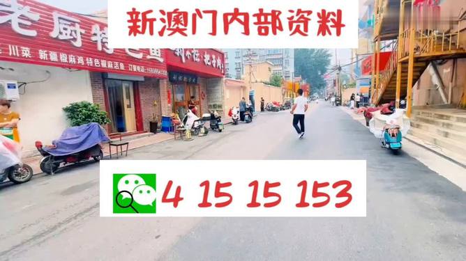 ＂2024澳门天天开好彩免费大全＂的：持续改进策略_专业版3.77