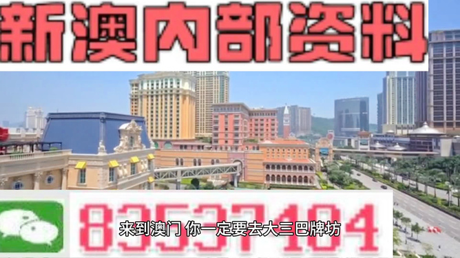 ＂新澳门最精准正最精准正版资料＂的：数据详解说明_智能版8.16