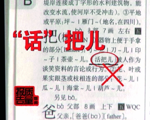 ＂澳门三肖三码精准100%新华字典＂的：全盘细明说明_理想版7.99