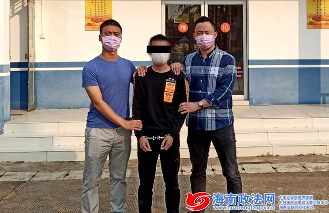 儋州网络诈骗最新动态，深度报道与观点分析
