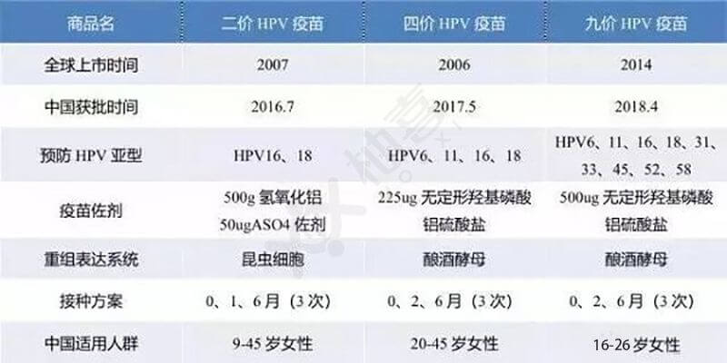 HPV检查费用揭秘，从恐惧到自信的知识之旅