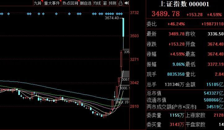 智慧与勇气交汇，204007行情盛宴，共创辉煌