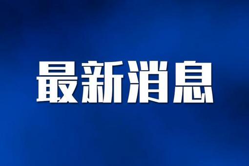 南皮新闻快讯，县域发展聚焦，多元观点碰撞
