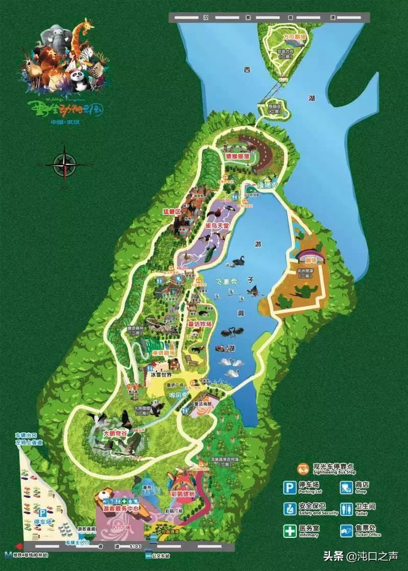 动物王国电影的深度探究，背景、影响与地位分析