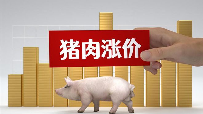 12月猪价行情分析与应对策略指南