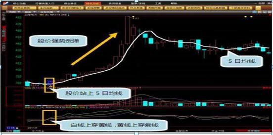 600070股票行情深度分析与预测
