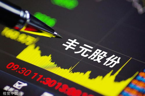 丰元股份最新动态更新，公司最新进展与资讯速递