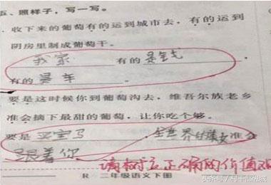 最新鲜造句，带你领略语言的魅力