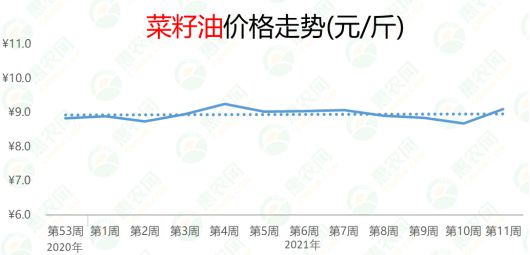 豆油行情最新信息及深度解析报告