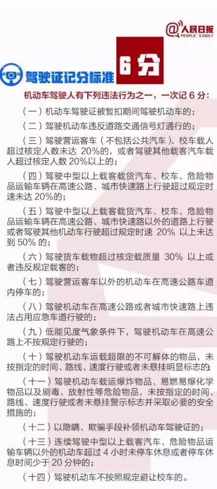最新驾照分数背后的故事，友情、成长与陪伴的温馨日常