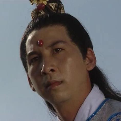倚天屠龙记 演员,倚天屠龙记演员，武侠江湖中的璀璨星辰