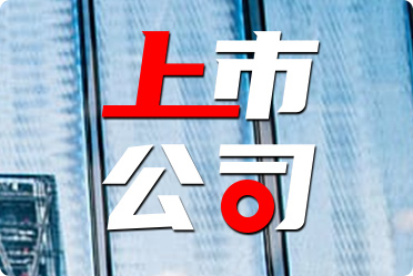 老牌上市公司，历史成就与挑战并存的道路探索