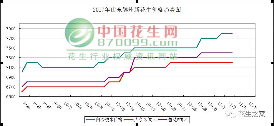 新乡花生价格揭秘，最新动态与行情分析🥜