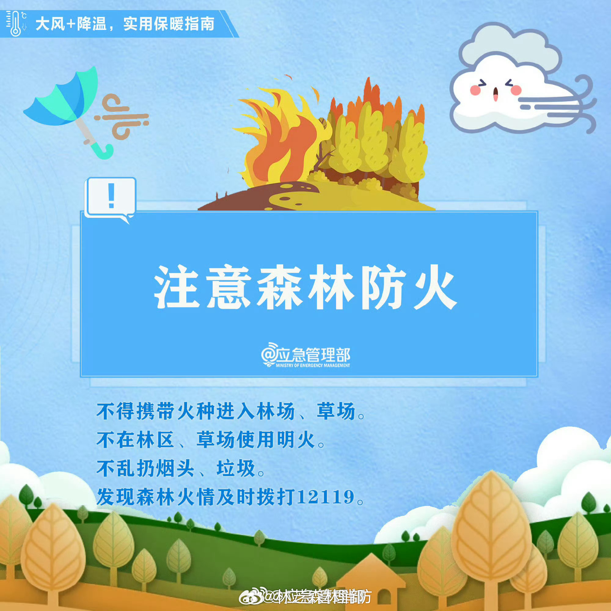 林芝最新火情更新，紧急应对火灾状况