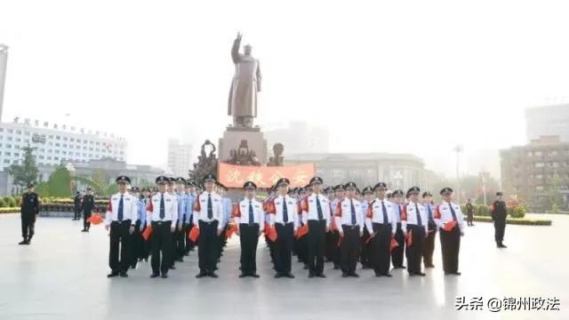 辽宁最新公安动态，我的观察与见解