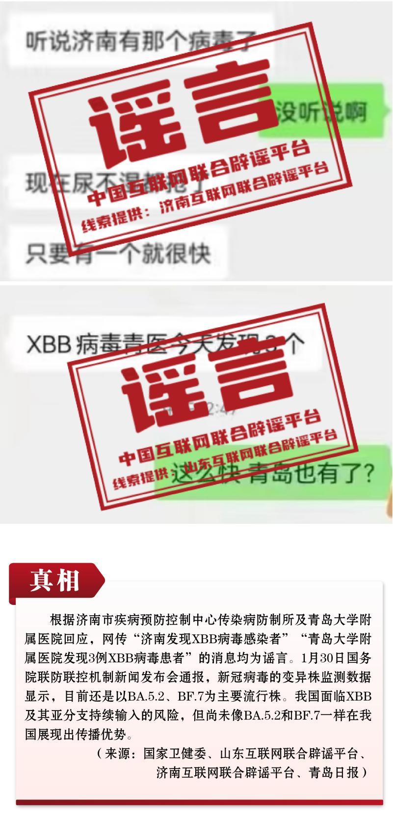 青岛最新辟谣背后的自然美景探索之旅，心灵平静之旅启航