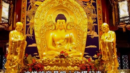 最新佛法视频，现代传播视角下的多元理解与探索