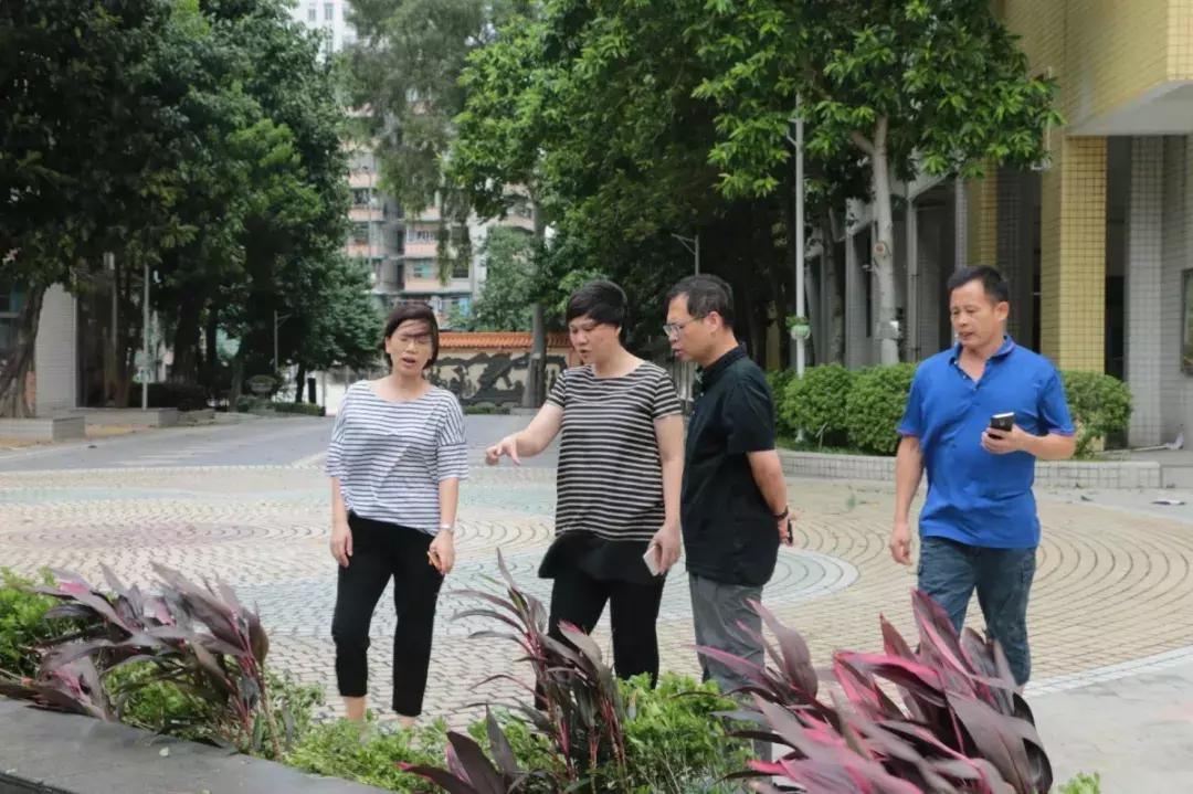 广州最新台风动态及全方位解读，应对策略与行动指南
