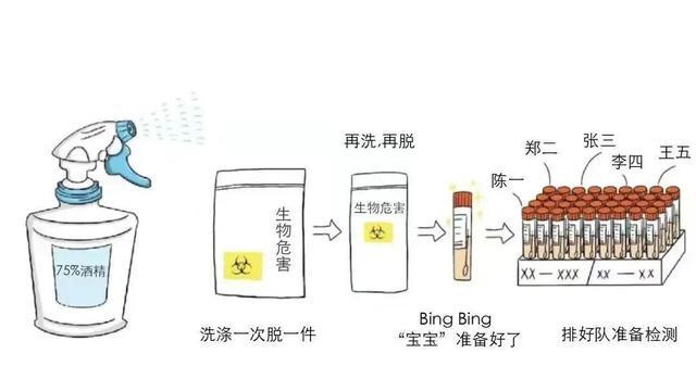 最新核酸报告获取指南，步骤详解及报告概览