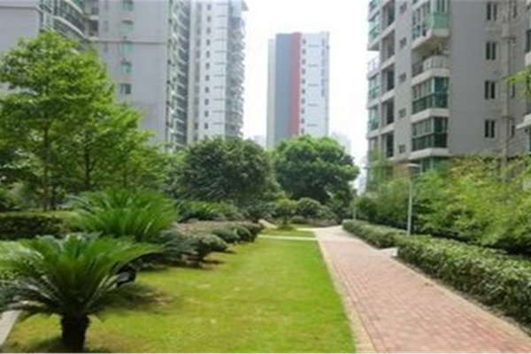 长沙陈家渡中学动态，追梦路上，师生携手前行